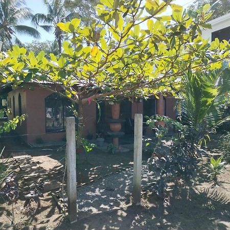 Micheck Beach House Tortuguero Εξωτερικό φωτογραφία