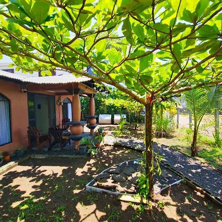 Micheck Beach House Tortuguero Εξωτερικό φωτογραφία
