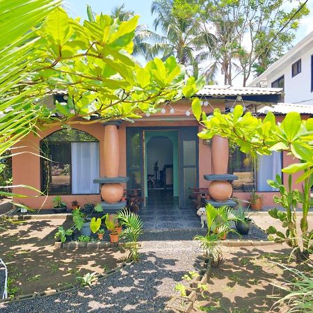 Micheck Beach House Tortuguero Εξωτερικό φωτογραφία
