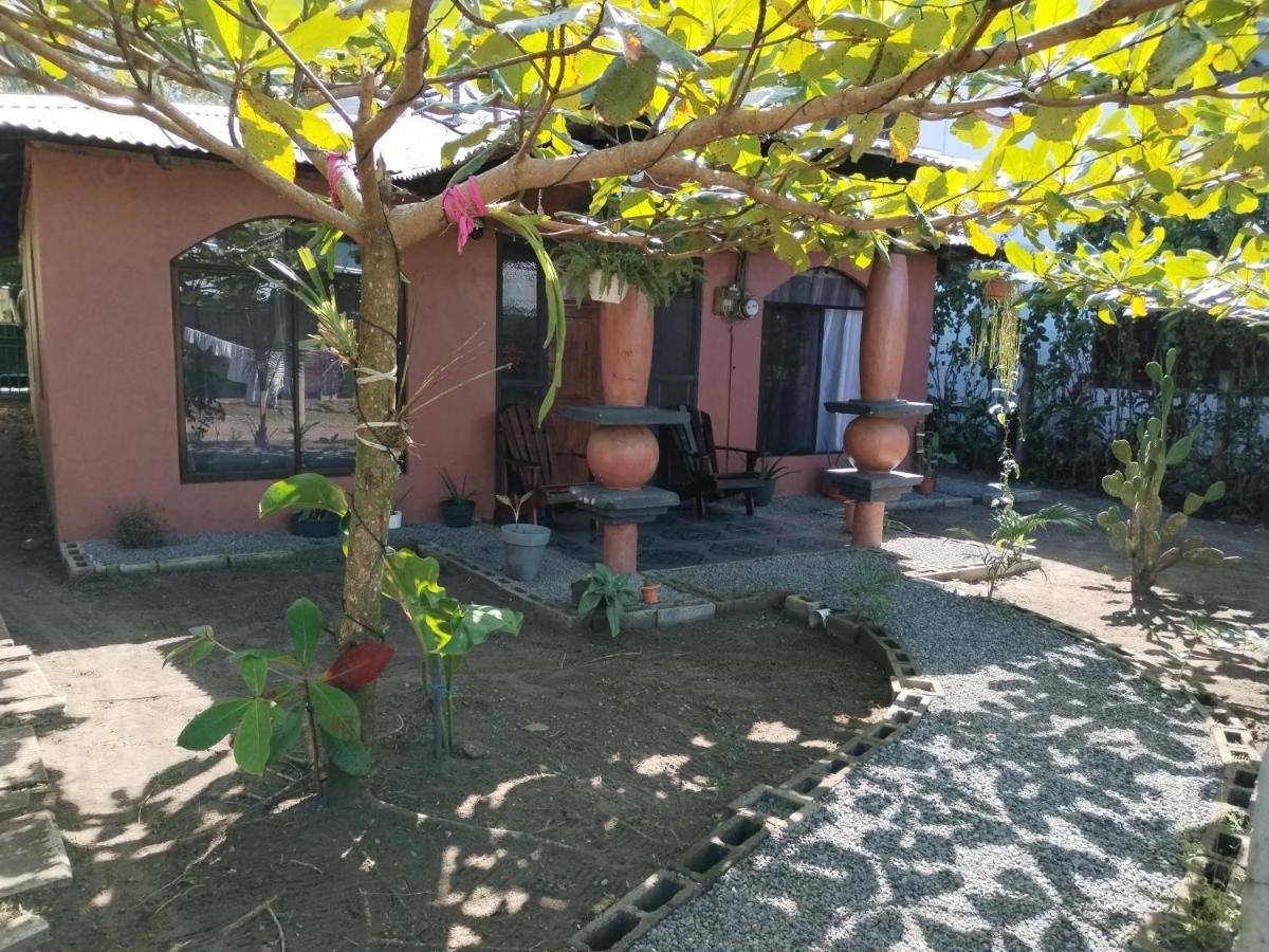 Micheck Beach House Tortuguero Εξωτερικό φωτογραφία