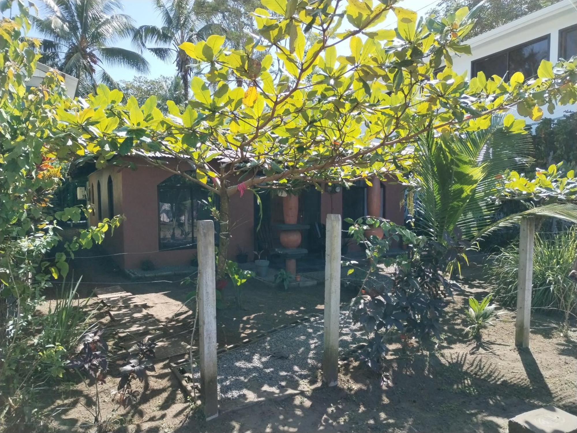 Micheck Beach House Tortuguero Εξωτερικό φωτογραφία