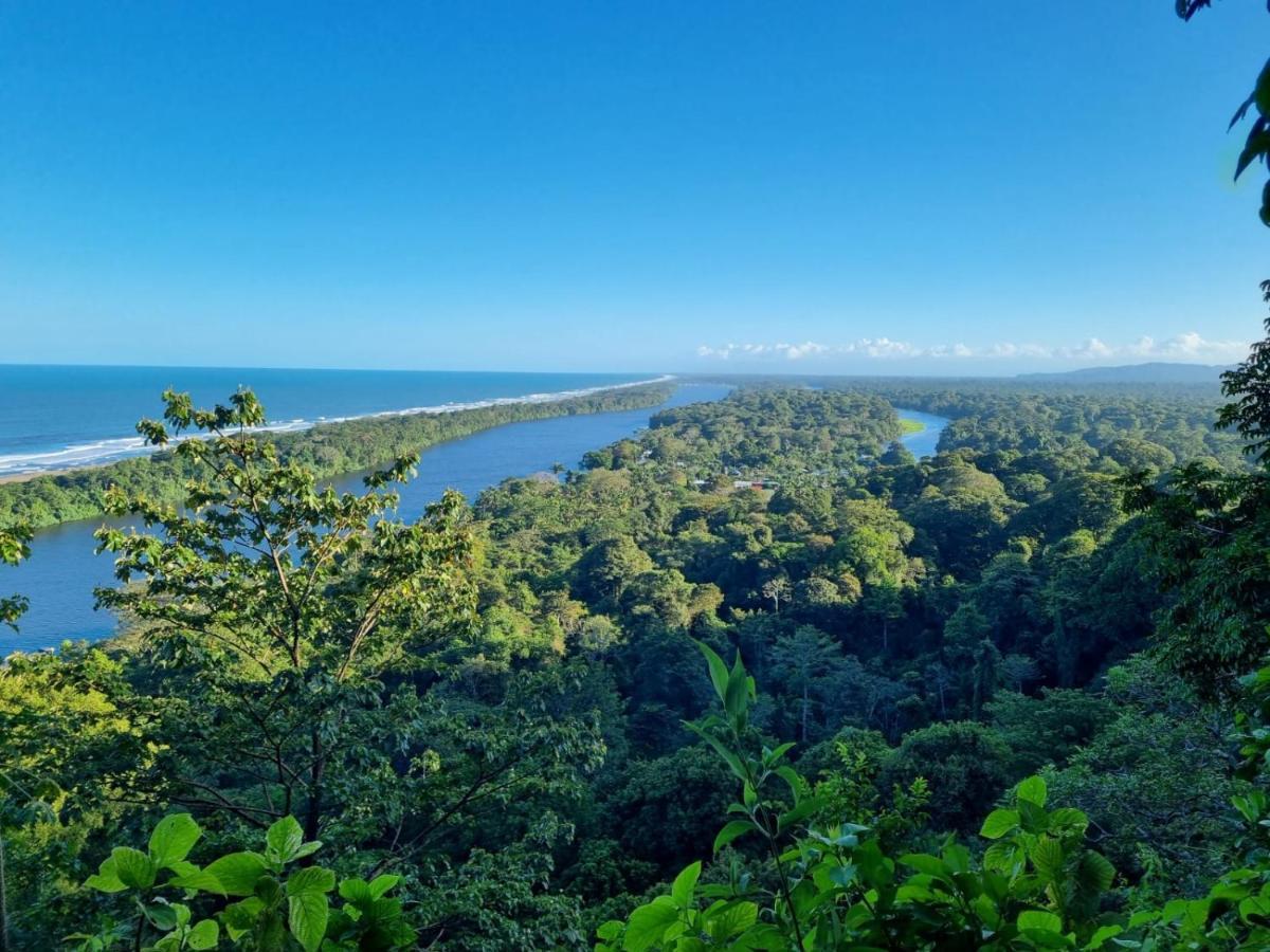 Micheck Beach House Tortuguero Εξωτερικό φωτογραφία